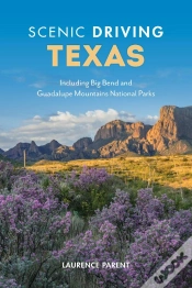 Capa do artigo Scenic Driving Texas