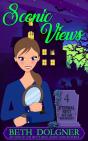 Scenic Views - Preview