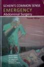 Schein'S Common Sense Emergency Abdominal Surgery - Preview