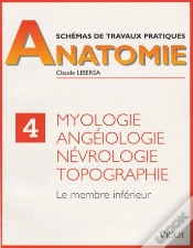 Capa do artigo Schemas Tp D
