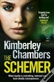Capa do artigo Schemer