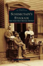 Schenectady'S Stockade - Preview