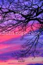 Schizophrene - Preview