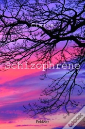 Capa do artigo Schizophrene