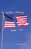 Schizophrenic America
