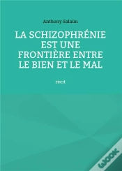 Capa do artigo Schizophrenie Est Frontiere Entre Bien E