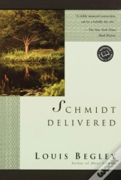 Capa do artigo Schmidt Delivered