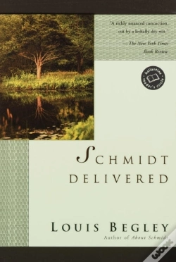 Capa do artigo Schmidt Delivered