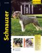 Schnauzer - Preview
