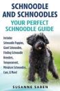 Schnoodle And Schnoodles - Preview