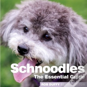 Capa do artigo Schnoodles
