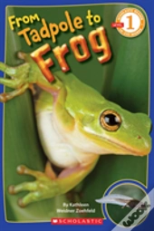 Scholastic Reader Level 1: From Tadpole To Frog