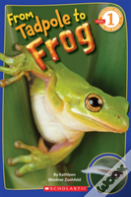 Scholastic Reader Level 1: From Tadpole To Frog