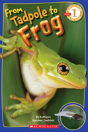 Scholastic Reader Level 1: From Tadpole To Frog - Preview