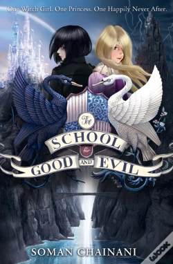 Capa do artigo School For Good And Evil