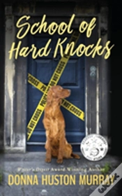 Capa do artigo School Of Hard Knocks