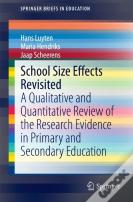 School Size Effects Revisited