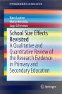 School Size Effects Revisited - Preview