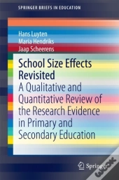 School Size Effects Revisited