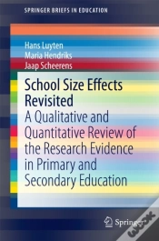 Capa do artigo School Size Effects Revisited