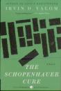 Schopenhauer Cure - Preview