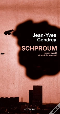 Capa do artigo Schproum