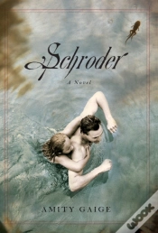 Capa do artigo Schroder