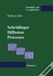 Schrodinger Diffusion Processes