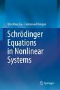 Schrodinger Equations In Nonlinear Systems - Preview