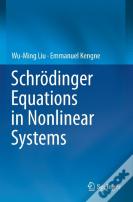 Schrodinger Equations In Nonlinear Systems
