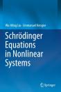 Schrodinger Equations In Nonlinear Systems - Preview