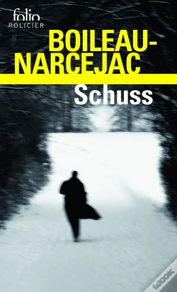 Capa do artigo Schuss