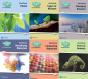 Science Bug International Year 1 Workbook Pack - Preview