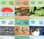 Science Bug International Year 2 Workbook Pack - Preview