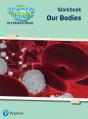 Science Bug: Our Bodies Workbook - Preview