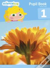 Science Bug Pupil Book Year 1