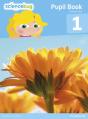 Science Bug Pupil Book Year 1 - Preview