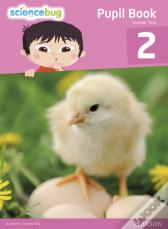 Science Bug Pupil Book Year 2