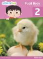 Science Bug Pupil Book Year 2 - Preview