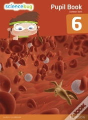 Capa do artigo Science Bug Pupil Book Year 6