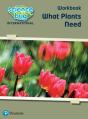 Science Bug: What Plants Need Workbook - Preview