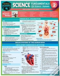 Capa do artigo Science Fundamentals 2 - Life Science: Humans