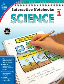 Capa do artigo Science, Grade 1