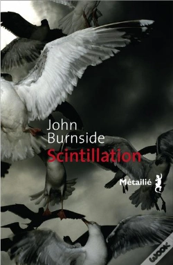 Capa do artigo Scintillation