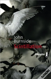 Capa do artigo Scintillation