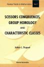 Scissors Congruences, Group Homology & Characteristic Classes - Preview