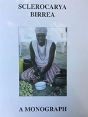 Sclerocarya Birrea - Preview