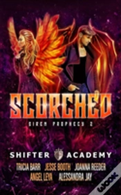 Capa do artigo Scorched