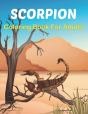 Scorpion Coloring Book For Adults - Preview