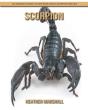 Scorpion - Preview